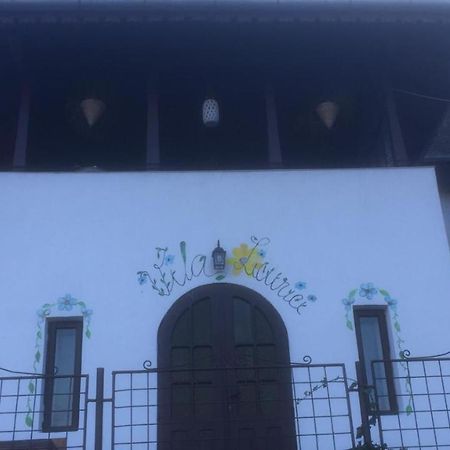 Vila Licurici Caciulata Exterior foto